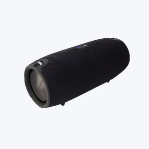 Portable Speaker
